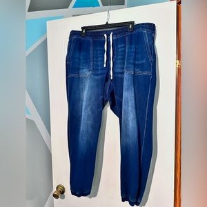 Lane Bryant Jogger style jeans. Size 16.